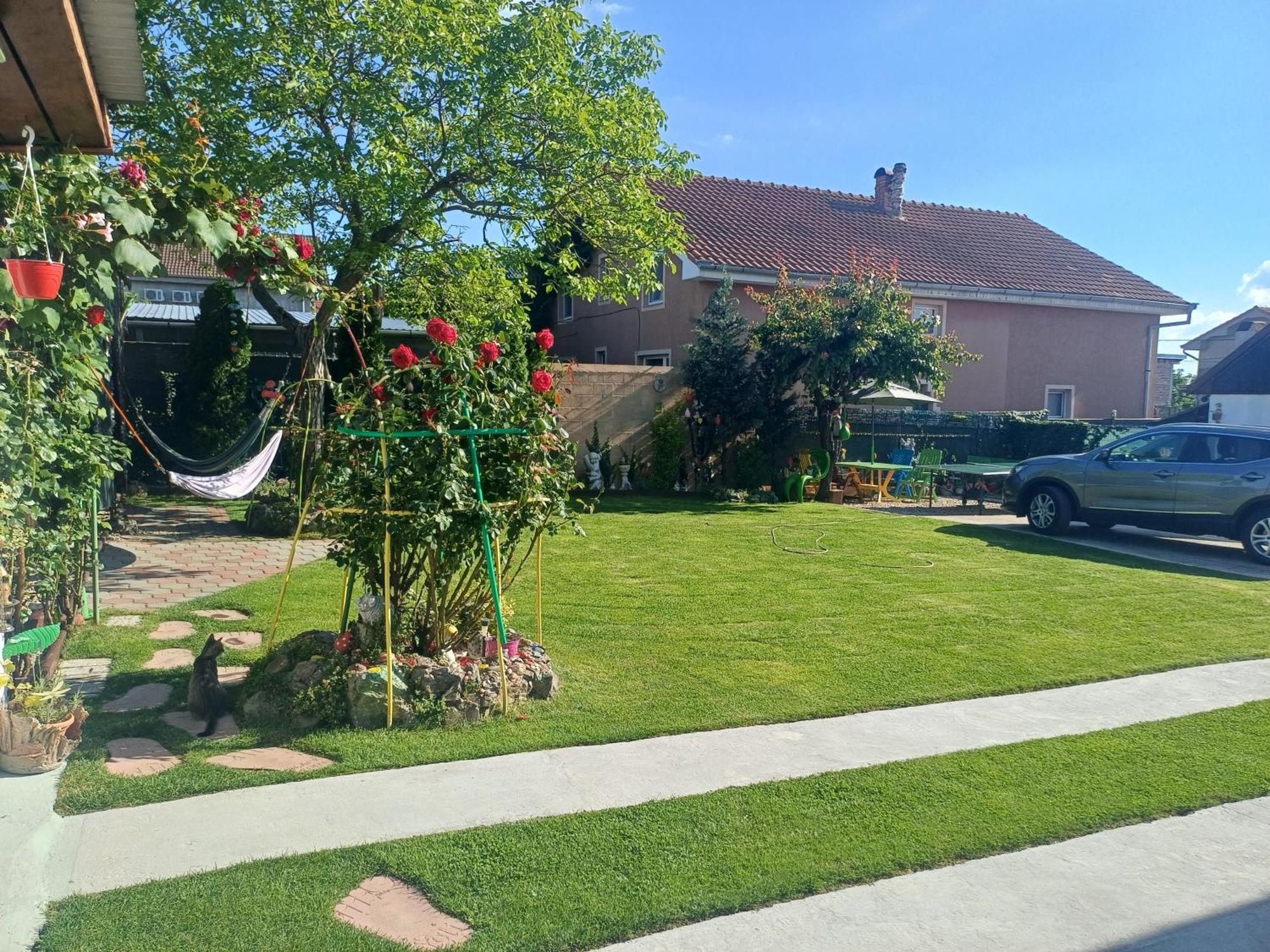 فندق Casa Marinela Băile Felix المظهر الخارجي الصورة