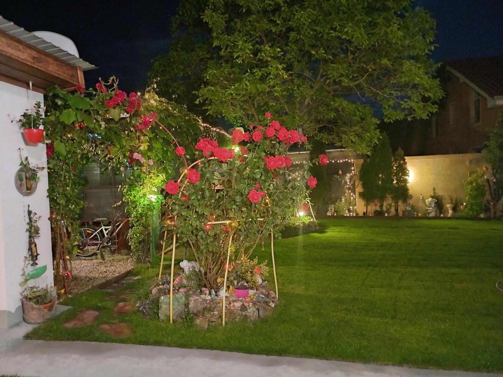 فندق Casa Marinela Băile Felix المظهر الخارجي الصورة