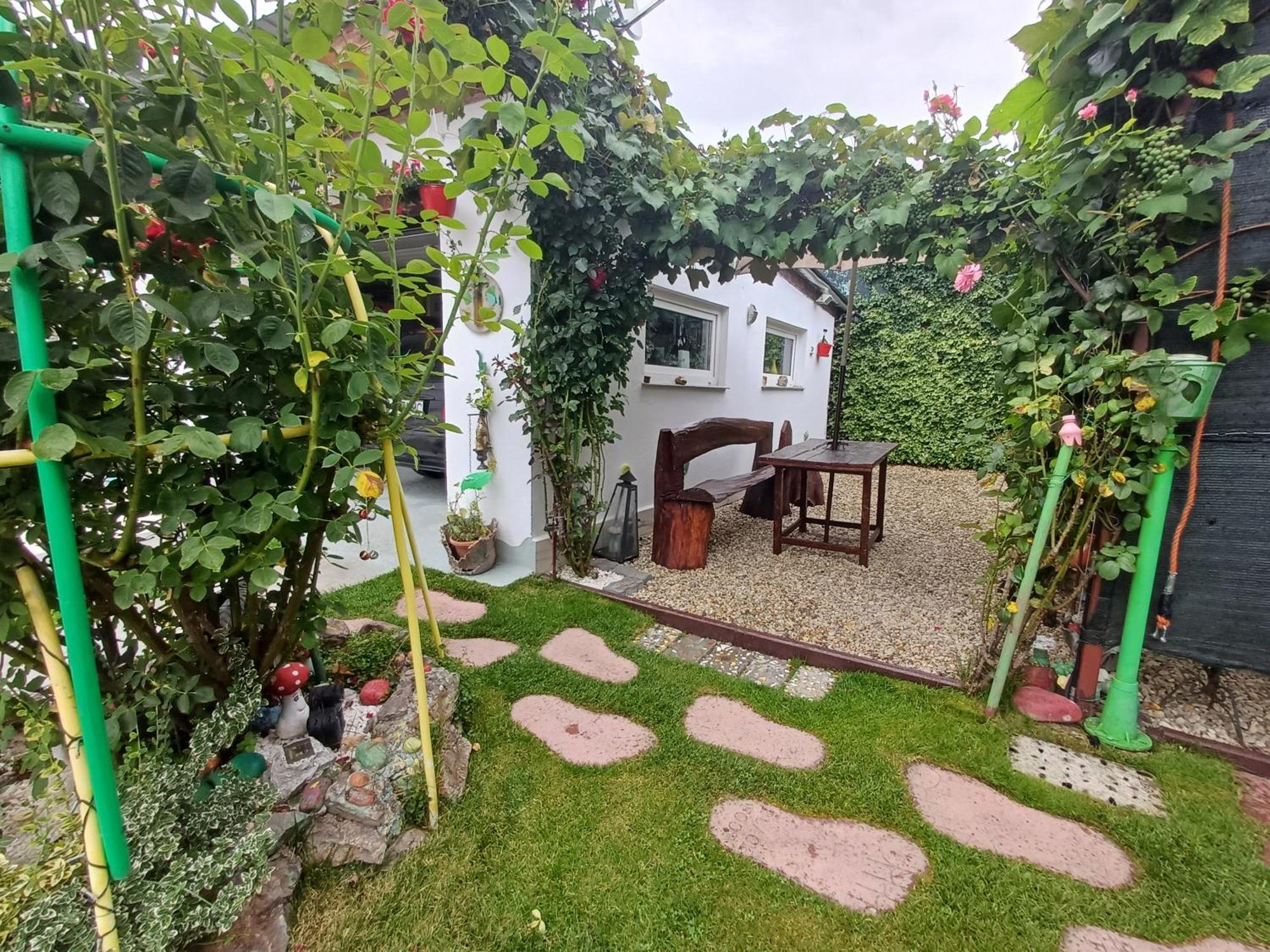 فندق Casa Marinela Băile Felix المظهر الخارجي الصورة