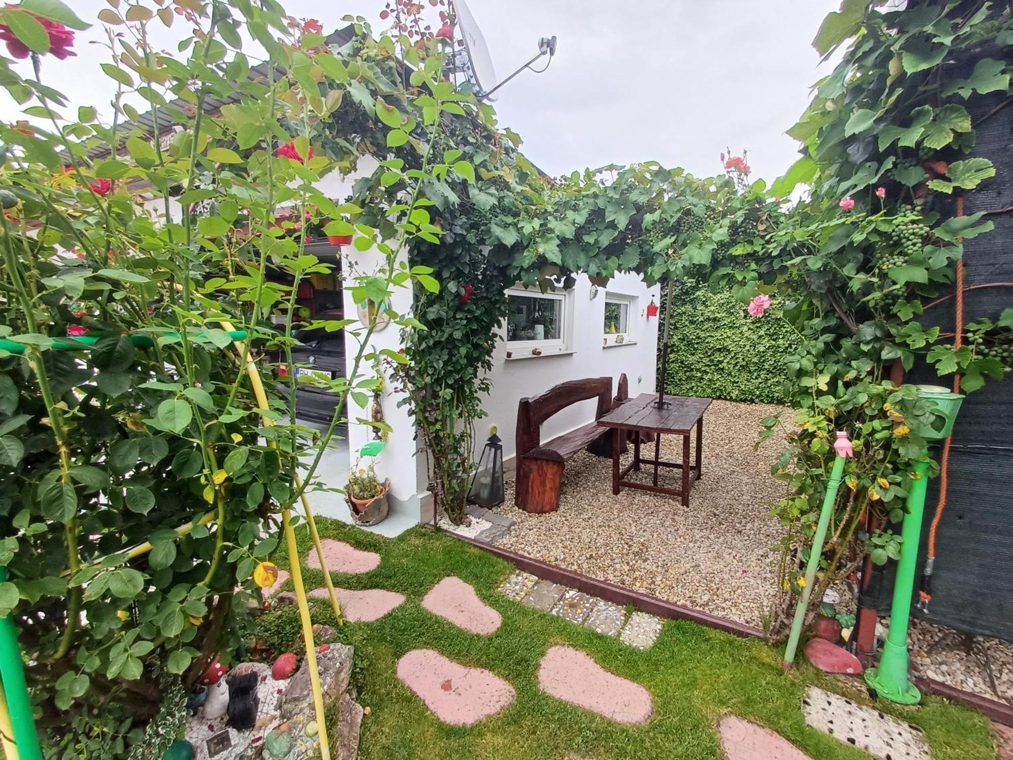 فندق Casa Marinela Băile Felix المظهر الخارجي الصورة